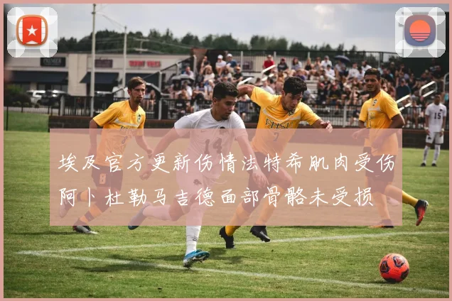 埃及官方更新伤情法特希肌肉受伤阿卜杜勒马吉德面部骨骼未受损